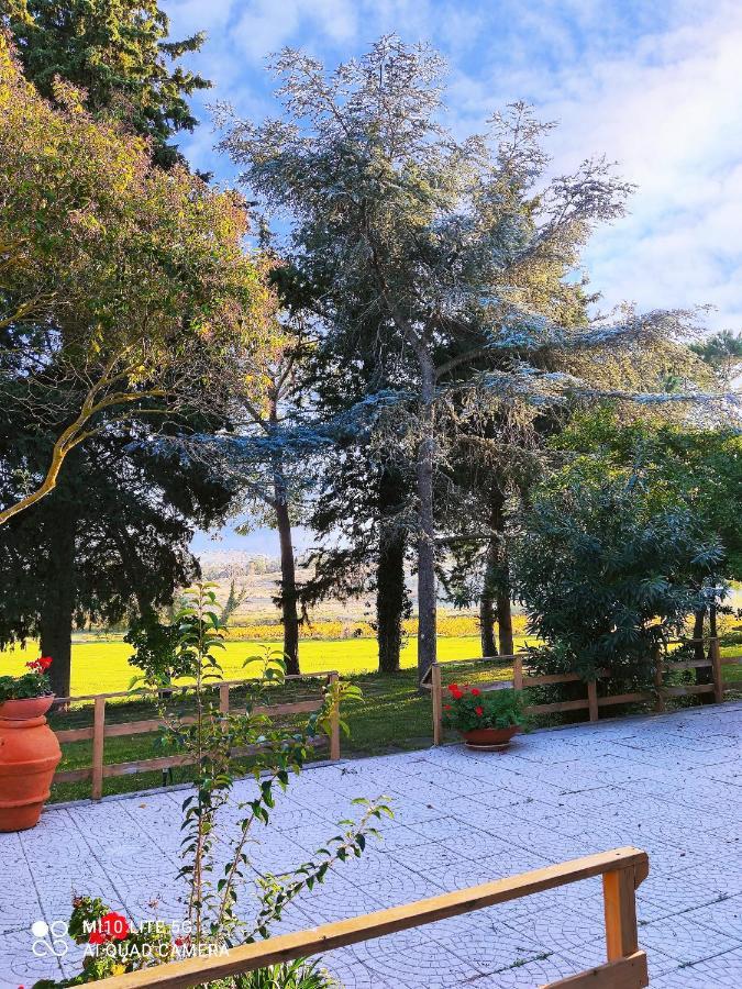 Agriturismo Pian dell'Osa Montiano (Tuscany) Exterior foto